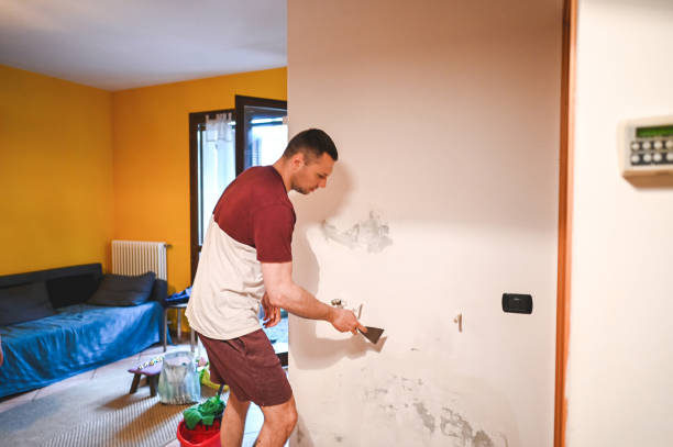 Best Mold Removal Specialists  in Questa, NM
